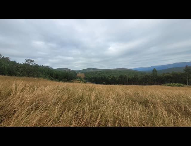 46HA FARM SOLD IN NELSPRUIT RURAL